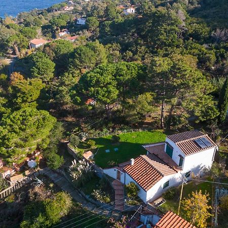 Villa Caterina Quiete E Mare-Goelba Sant'Andrea  Luaran gambar