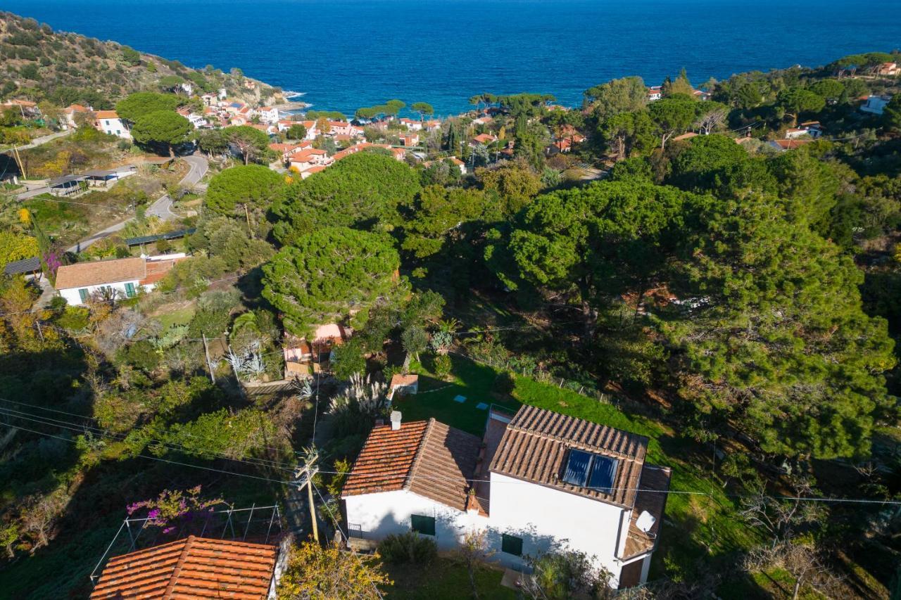 Villa Caterina Quiete E Mare-Goelba Sant'Andrea  Luaran gambar
